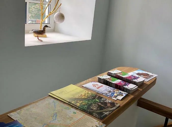 Apartament Ontic Wellness *